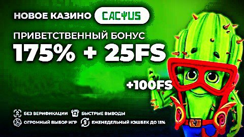 cactus-game.casino